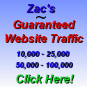 website traffic