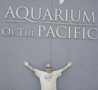 Get millions to your website Free!